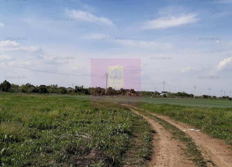 Teren aproape de Bucuresti langa padure