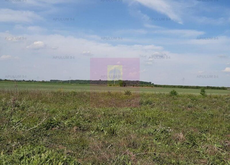 Teren aproape de Bucuresti langa padure