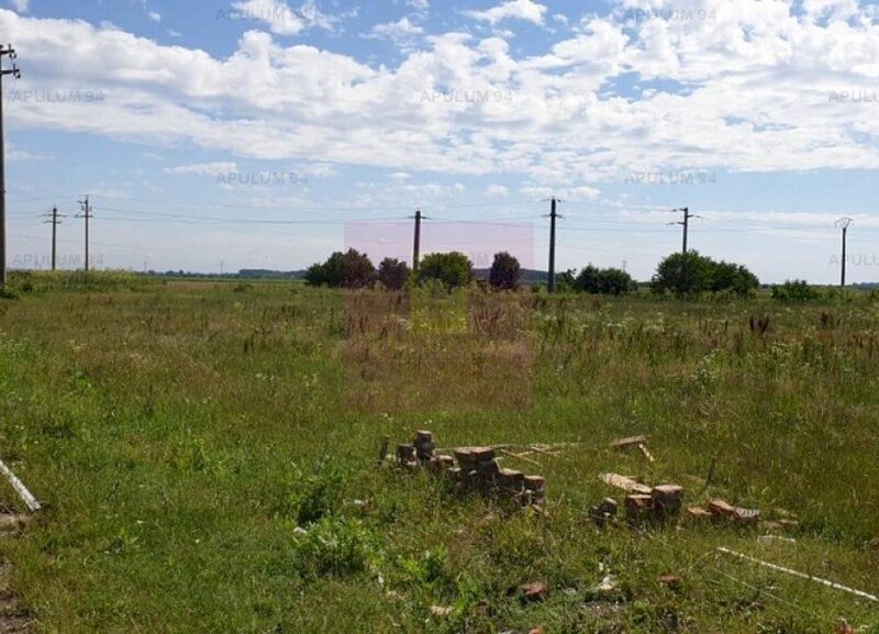 Teren aproape de Bucuresti langa padure
