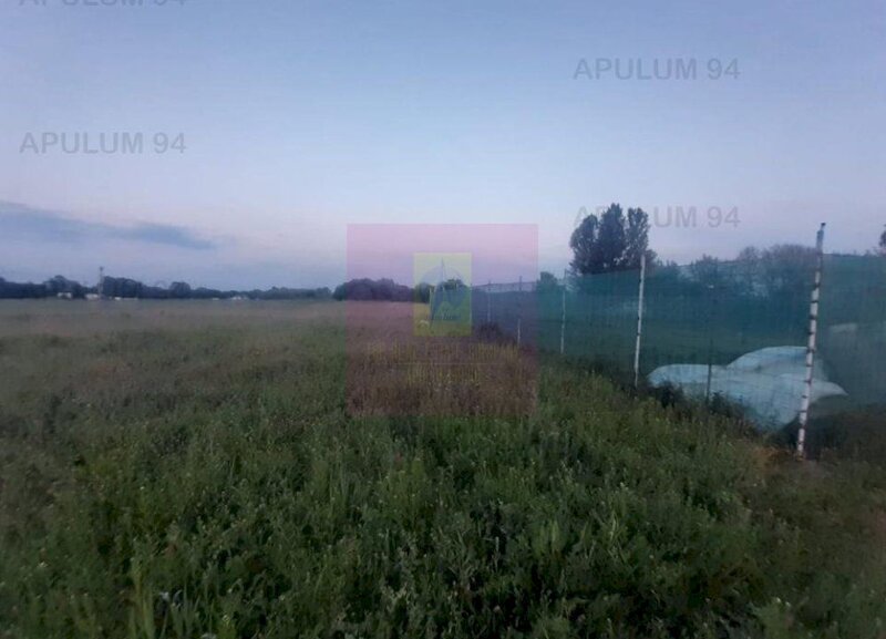 Teren aproape de Bucuresti langa padure