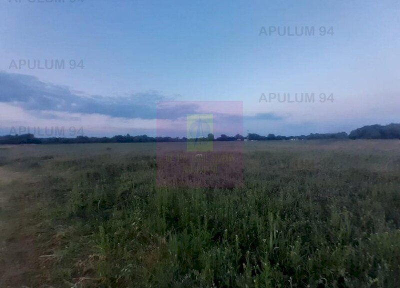 Teren aproape de Bucuresti langa padure