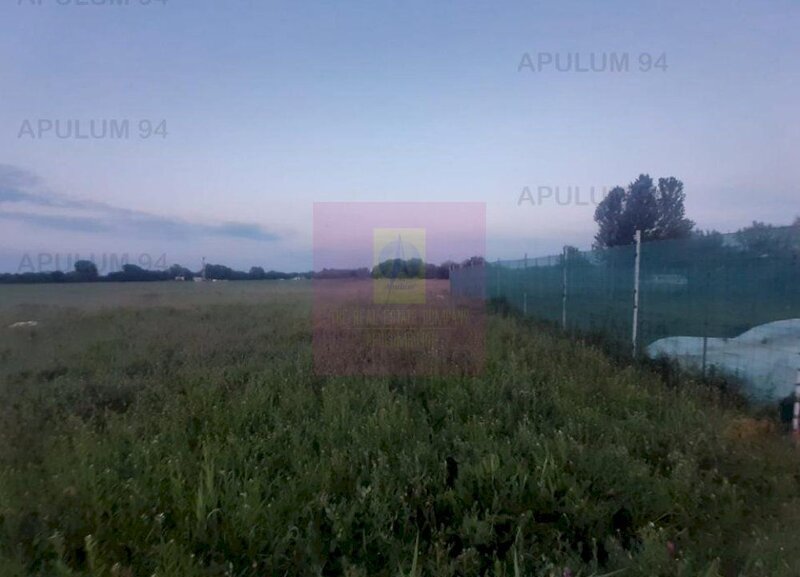 Teren aproape de Bucuresti langa padure