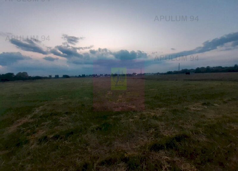 Teren aproape de Bucuresti langa padure