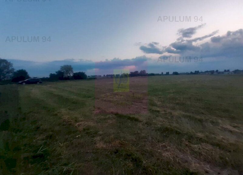 Teren aproape de Bucuresti langa padure