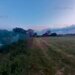 Teren aproape de Bucuresti langa padure