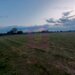 Teren aproape de Bucuresti langa padure